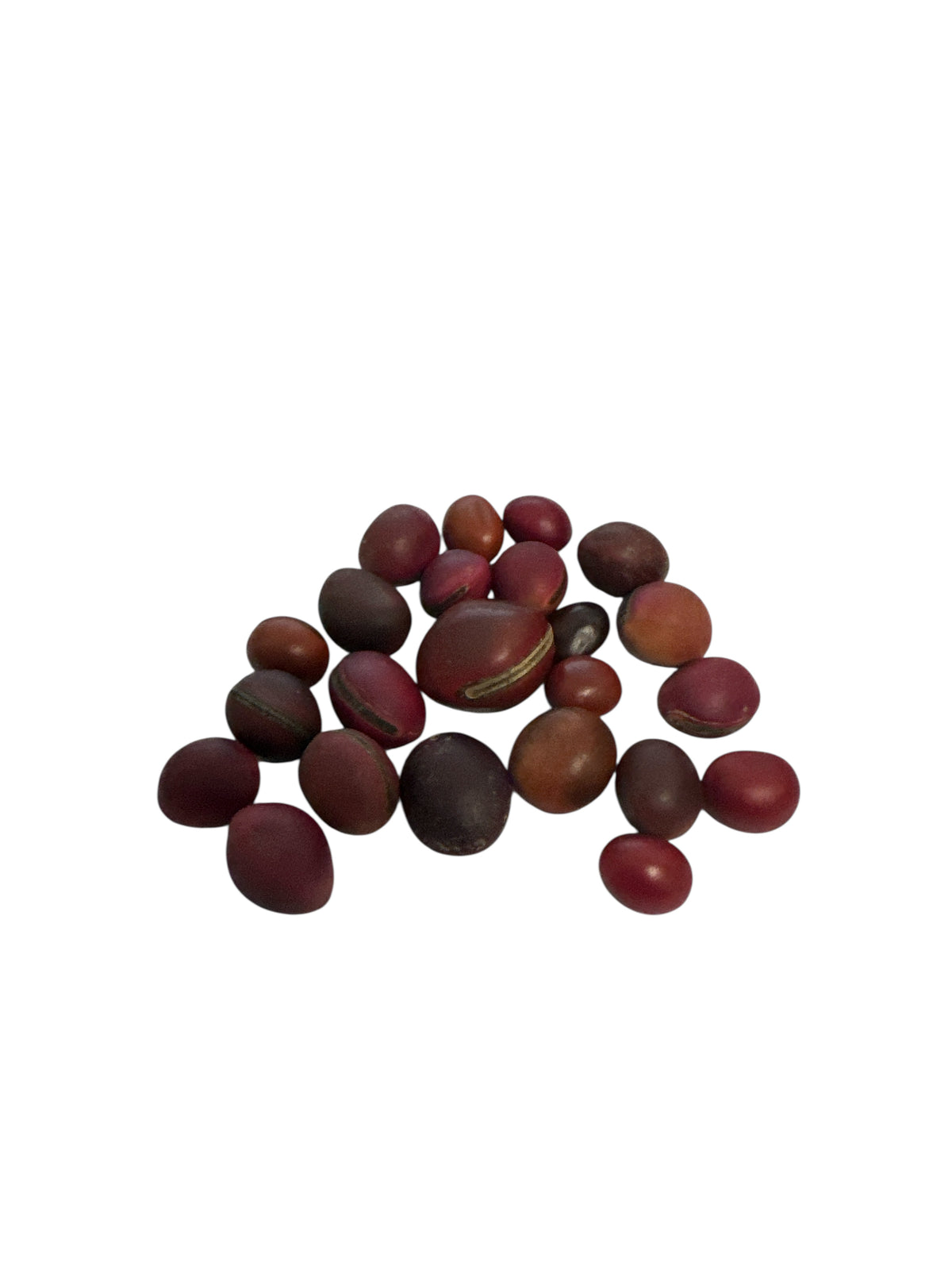Red Mate Seed (1 Unit)