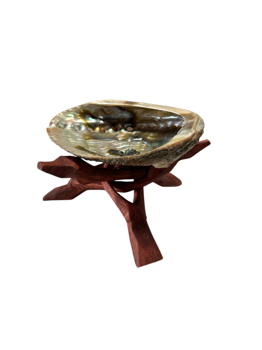 Shell with wooden base incense burner