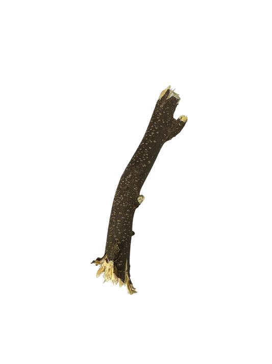 Wooden Stick 2"-6"