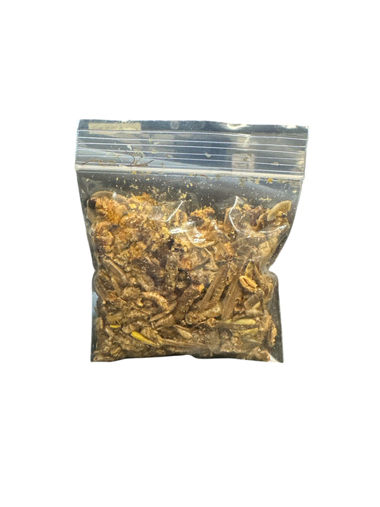 21 Ground Insects