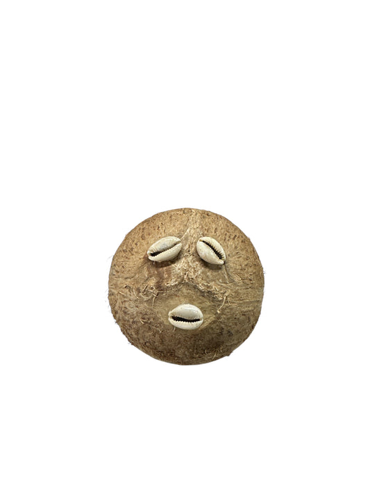Spiritual Elegua Coconut