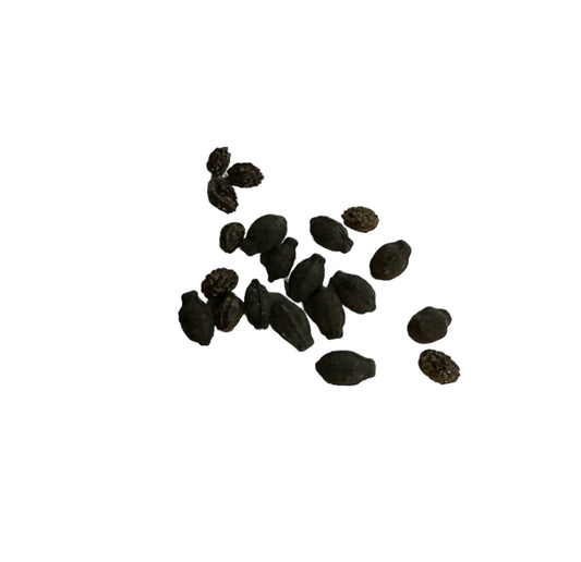 Seed of Wonder (Maravilla) 10 seeds