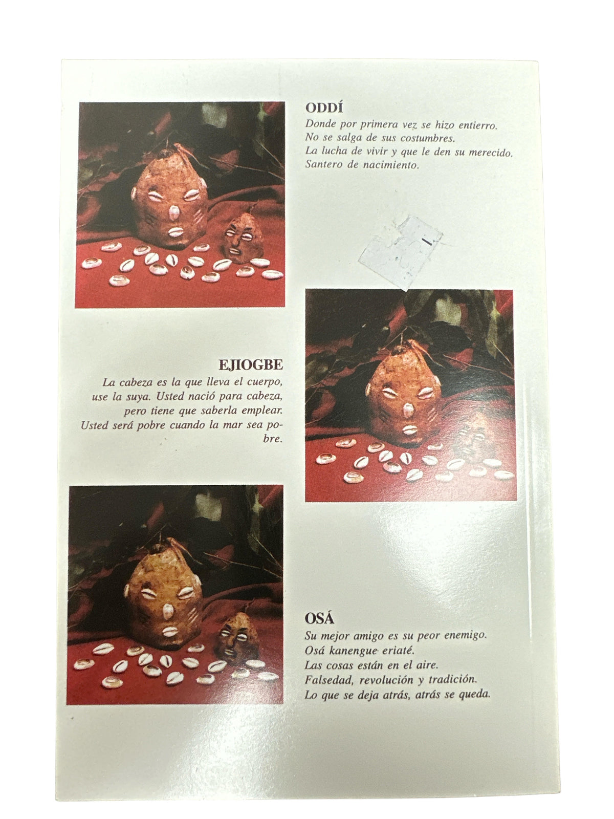 Diloggun Book (The oracle of the orishas of the Yoruba religion)